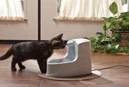 PetSafe Drinkwell Mini girdykla - fontanas 1.2L