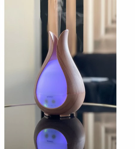 Aroma difuzorius - drėkintuvas 200ml Ruhhy 24610