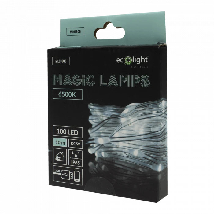 Eco Light Magiškos lemputės 100 LED 6500K 10m DC5V