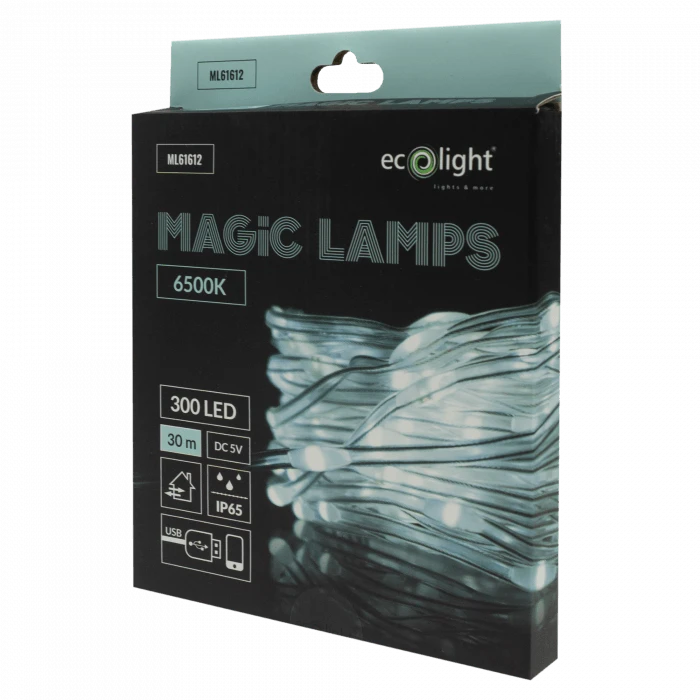 Eco Light Magiškos lemputės 300 LED 6500K 30m DC5V