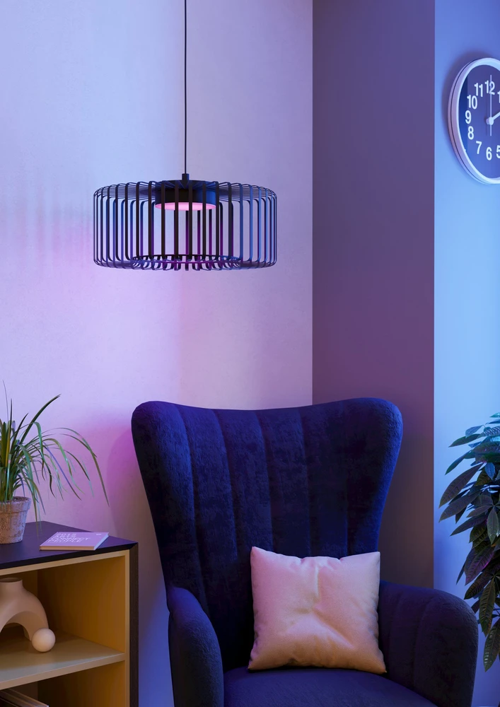 „Eglo“ – „Ginestrone-Z“ išmanusis pakabinamas šviestuvas Ø45 – juodas – RGB + reguliuojamo baltumo – „Zigbee“ ir „Bluetooth“