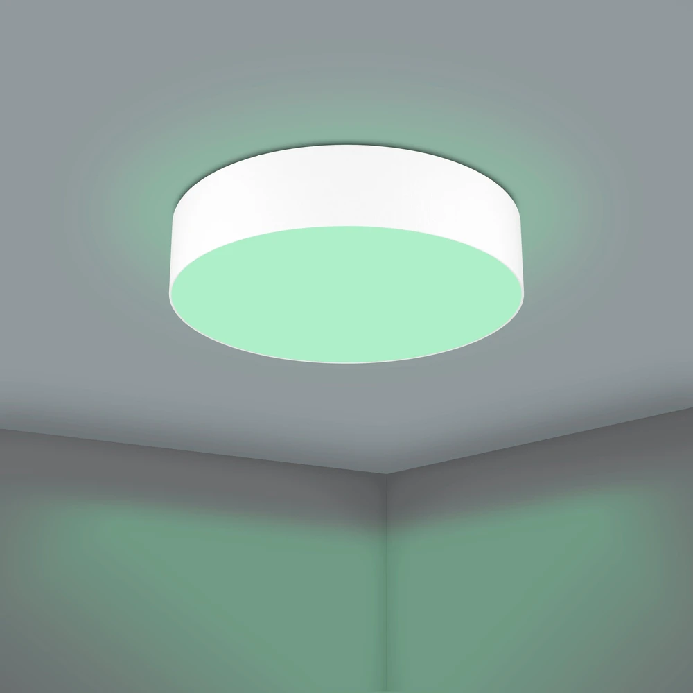 „Eglo“ – „Romao-Z“ išmanusis lubinis šviestuvas – Ø57 cm – RGB + balta spalva – „Zigbee“ ir „Bluetooth“
