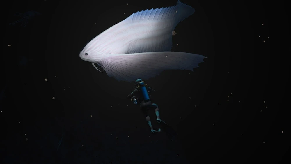 Nintendo Endless Ocean Luminous