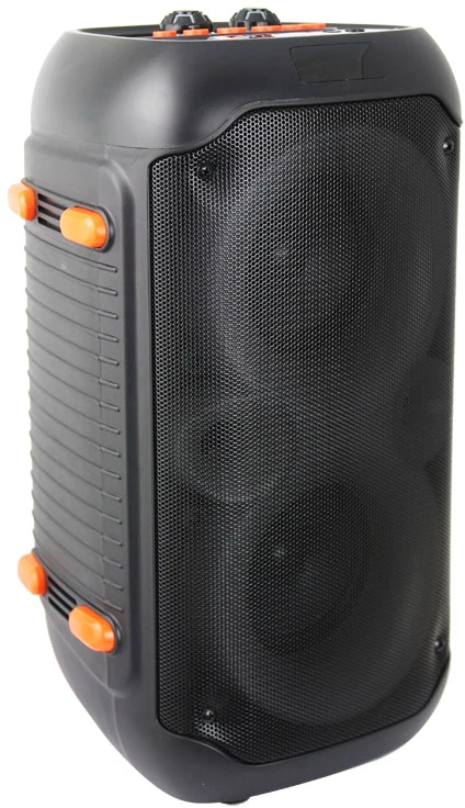 Esperanza EP156 BT FM LED RGB KARAOKE Speaker Juodas 20W