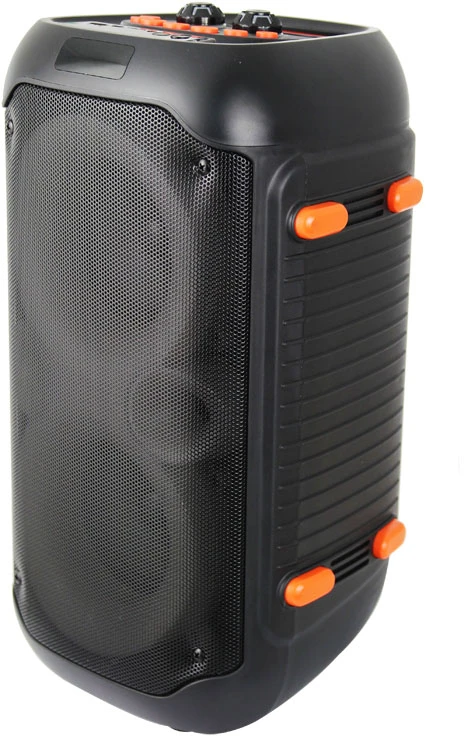 Esperanza EP156 BT FM LED RGB KARAOKE Speaker Juodas 20W