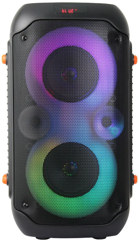 Esperanza EP156 BT FM LED RGB KARAOKE Speaker Juodas 20W