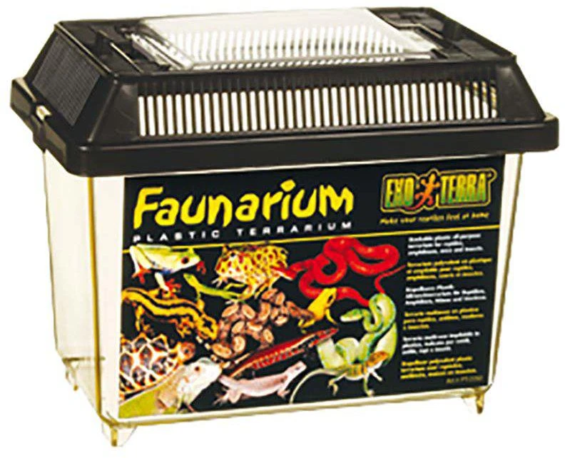 Exoterra Exo Terra - Faunarium didelis plastikinis 37x22x24.5cm