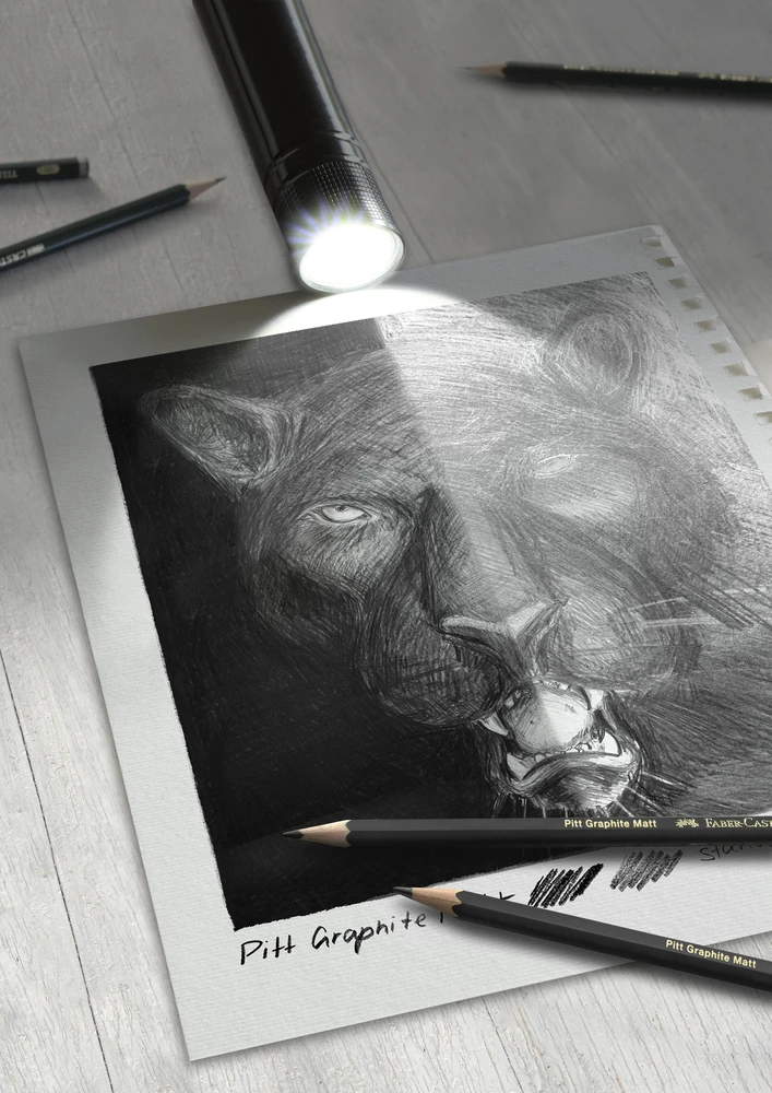 Faber-Castell Pieštukų rinkinys Pitt Graphite Matt, Castell 9000 20 vnt.