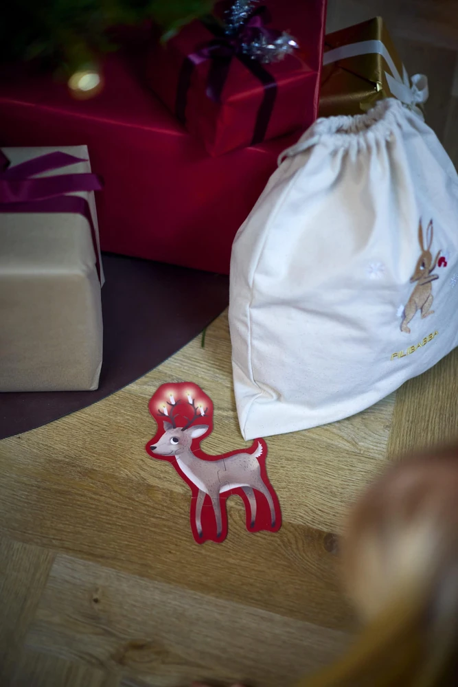Dėlionė Filibabba - Nuostabūs žiemos miško draugai - (FI-03793)