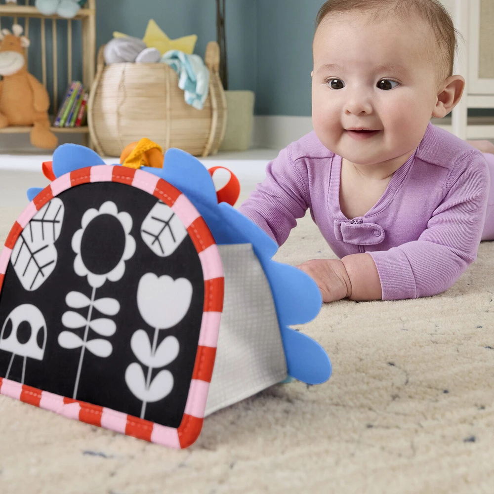 Mattel FISHER-PRICE veidrodėlis 2 in 1