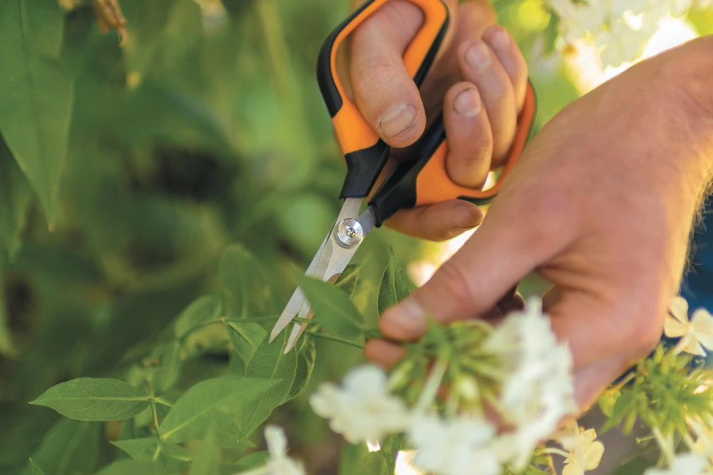 Fiskars Solid Snip genėjimo žirklės SP150