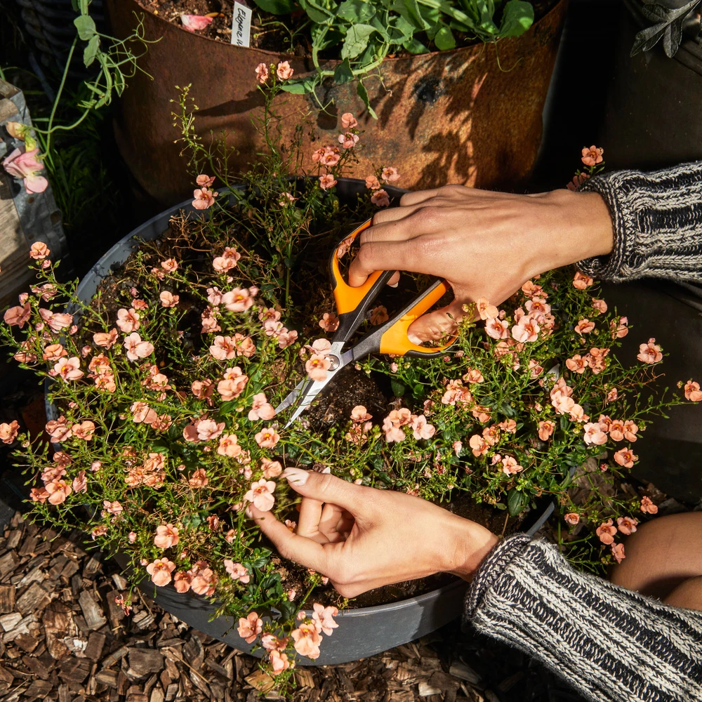 Fiskars Solid Snip genėjimo žirklės SP150