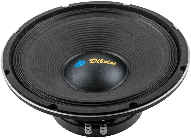 Dibeisi Oem Garsiakalbis DBS-PS1205 12 colių - 8 omai