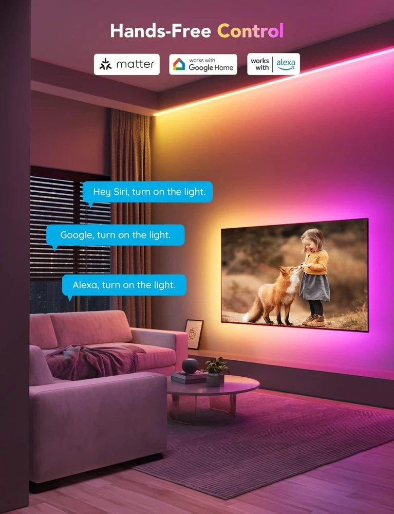 GOVEE H100E LED JUOSTOS pratęsiklis 1M, RGBIC+, SUDERINAMUMAS