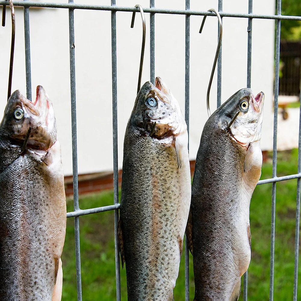 Haczyki Kabliukai mėsai ir šaltiems mėsos gaminiams rūkyti, 10 vnt., plieniniai, 15 cm