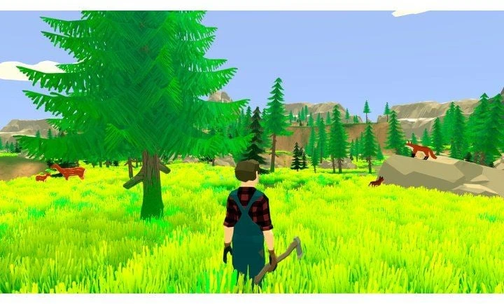 Harvest Derliaus dienos: mano svajonių ūkis – Nintendo jungiklis