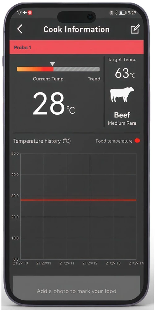 HerQs - „EasyBBQ“ – belaidis grilio termometras
