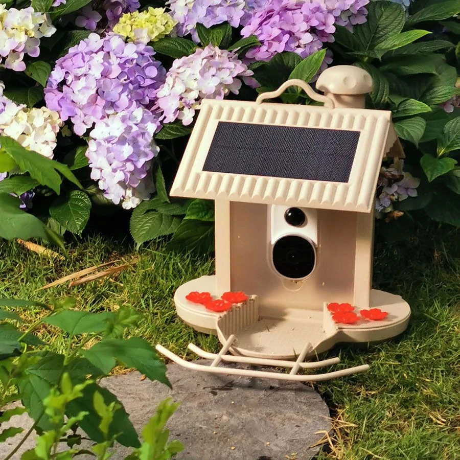Hibirds „HiBird“ – išmanioji paukščių lesyklėlė su 1080HD kamera, „Wi-Fi“ ir dirbtinio intelekto atpažinimu – (HB-5543)