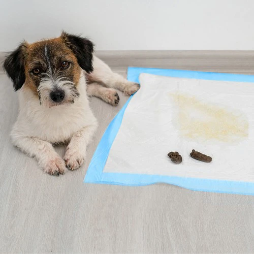 Higieninis įklotas 60x60cm 50 vnt Purlov 21600