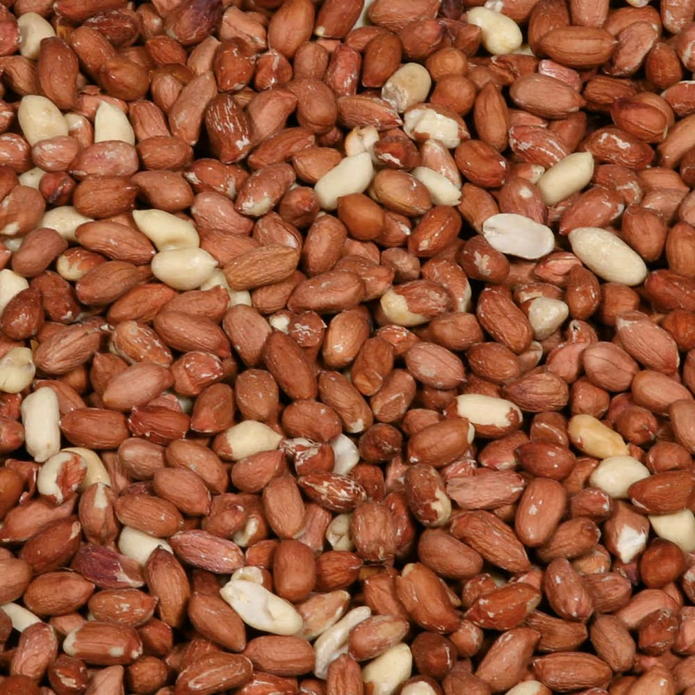 „Hobby First“ – nulupti žemės riešutai – 5kg