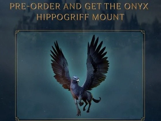 WARNER BROS Hogwarts Legacy XBOX Series X