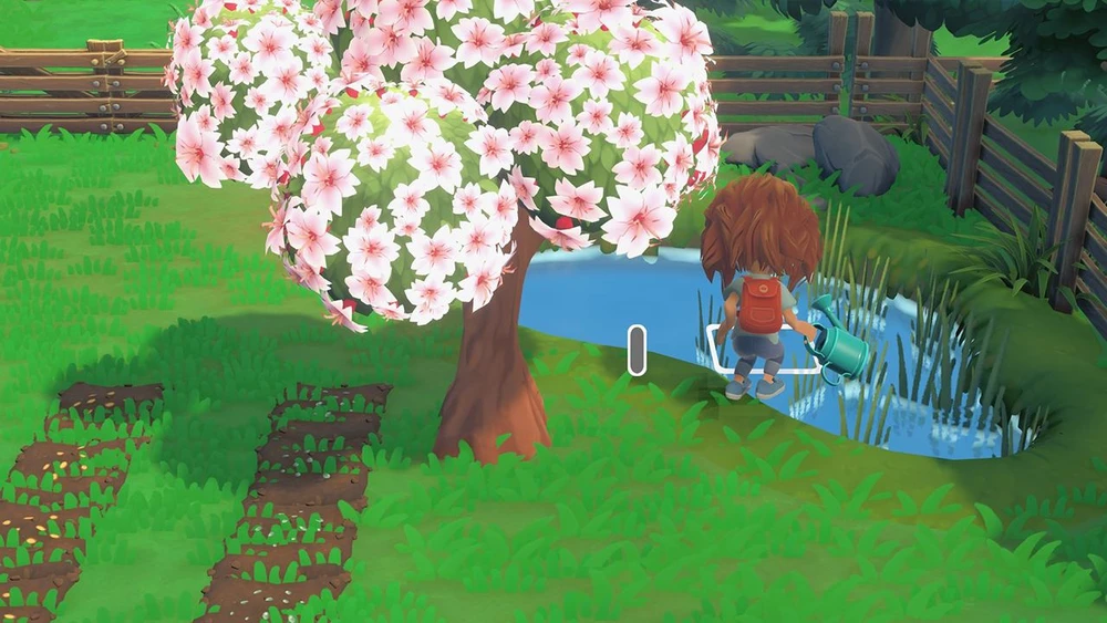 „Hokko Life“ – „Nintendo Switch“