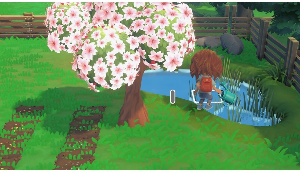 „Hokko Life“ – „Nintendo Switch“