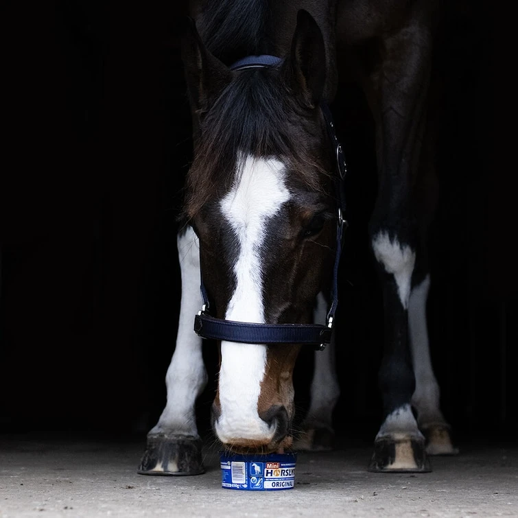 Horslyx - Mėtų skonio mini 650 g