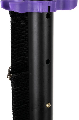 Spidoo scooter violetinė Kruzzel 25630