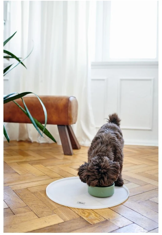 Hunter - Dogbowl keramikinis Osby 550 ml, kreida - (68988)