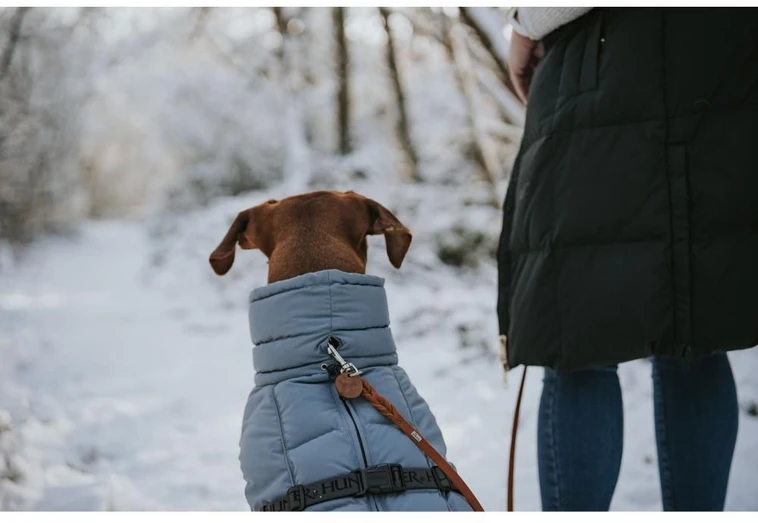Hunter - Šuninis paltas Paxson Dachshund 33, mėlynas - (203512)