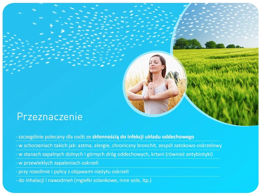 Promedix vaikiškas inhaliatorius PR-810 - karvutė