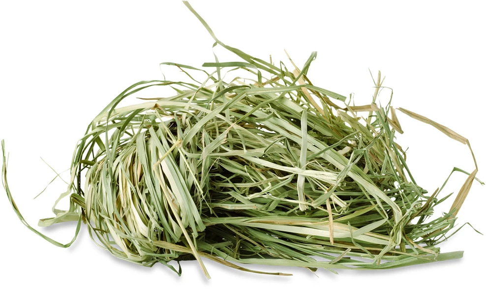 Jr Farm - kalnų pievų šienas - 2,5kg -