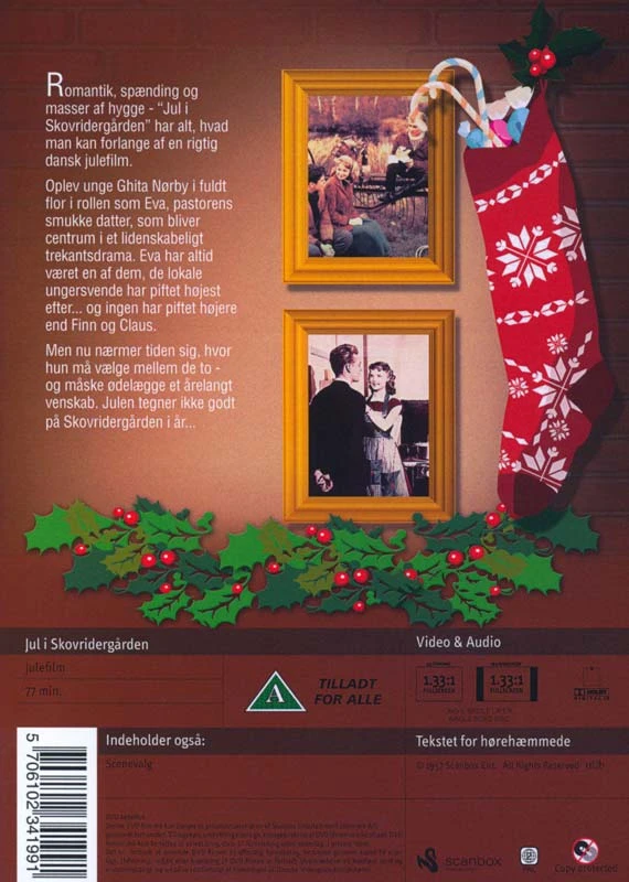 Kalėdos miško riterių fermoje DVD