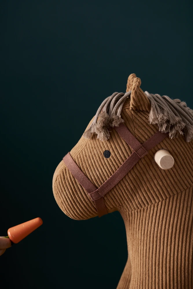 „Kids Concept“ – Pūkuotų draugų priežiūros rinkinys – (1000913)