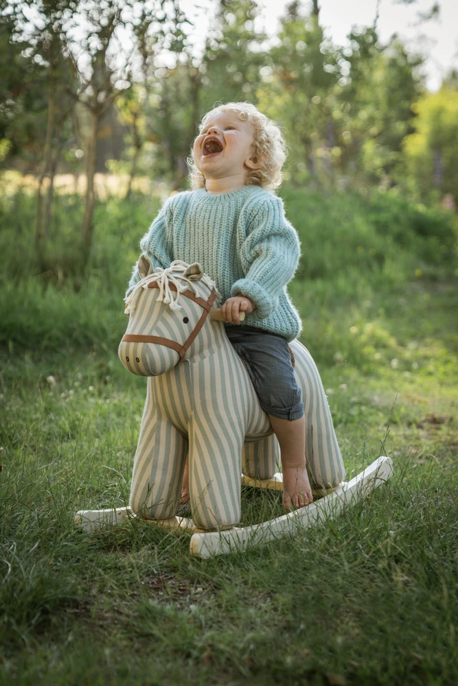 Polesie „Kids Concept“ – supamasis arkliukas Sam AIDEN (1000909)