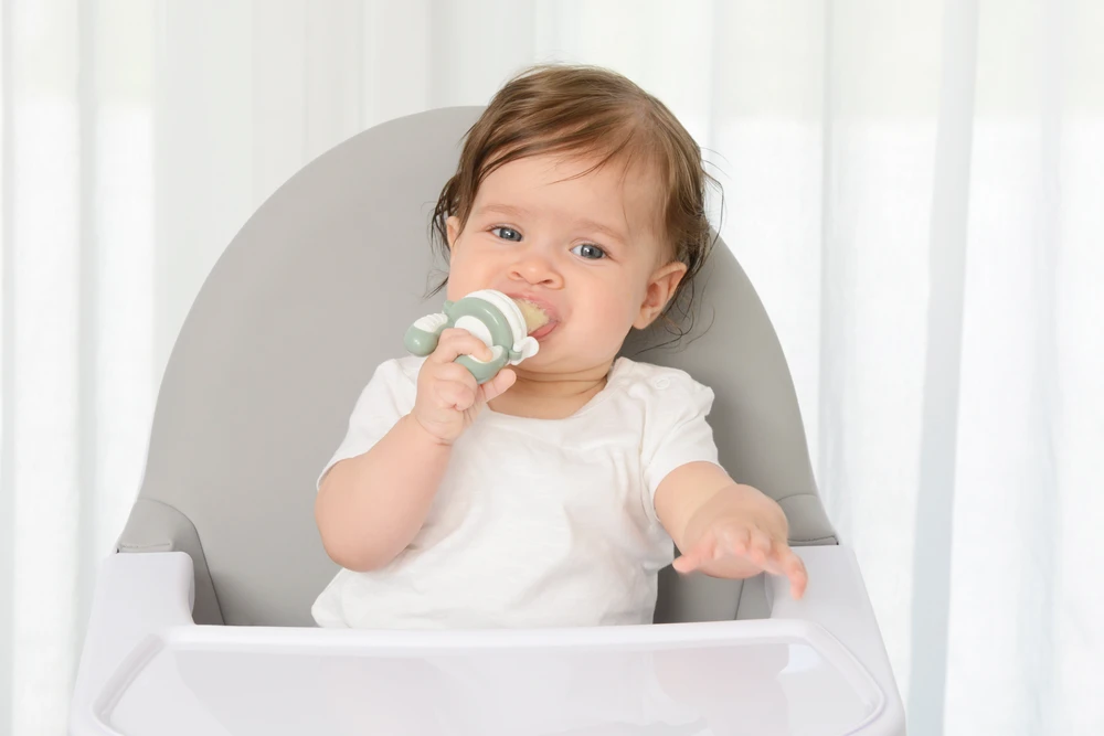 „Kidsme“ – maisto tiektuvas – „Startpak Žalias“ (Kids160503GR)
