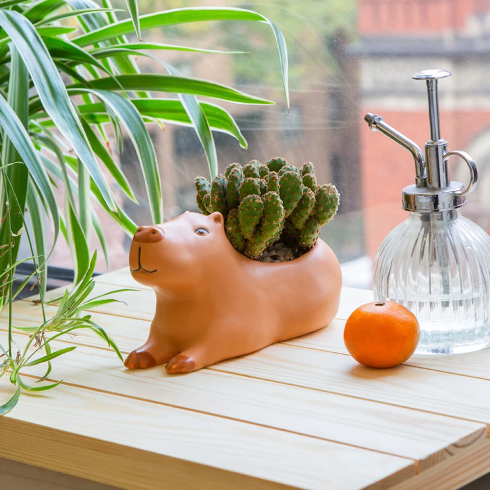 Kikkerland – Cappy the Capybara Planter – didelis