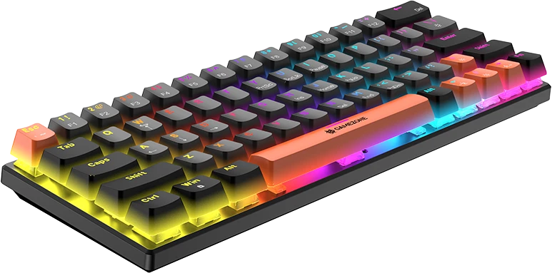 Klaviatūra Tracer GAMEZONE RAPTOR 63 USB mechaninė klaviatūra