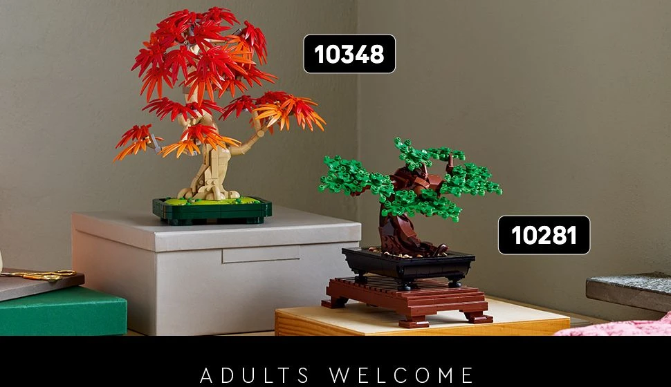 Klocki Botanicals 10348 Klevo bonsai