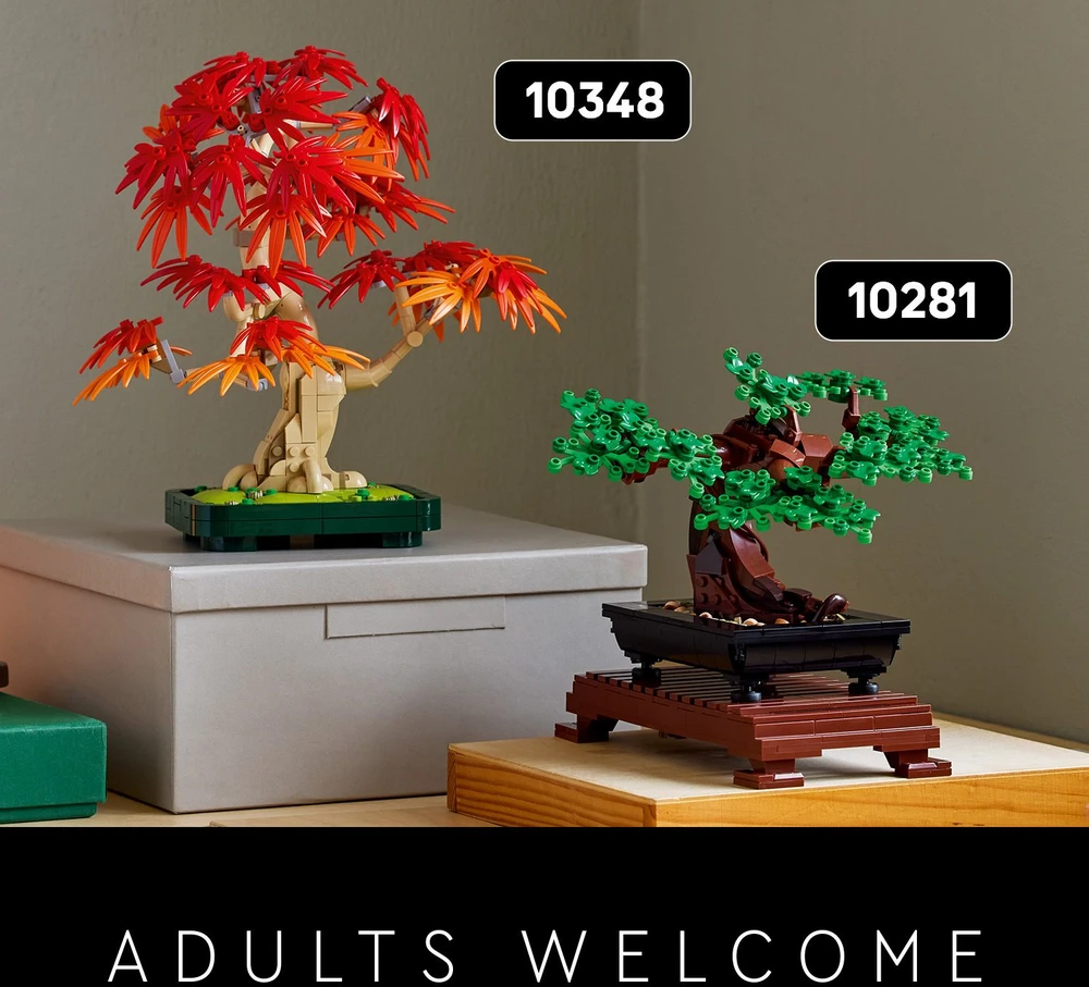 Klocki Botanicals 10348 Klevo bonsai