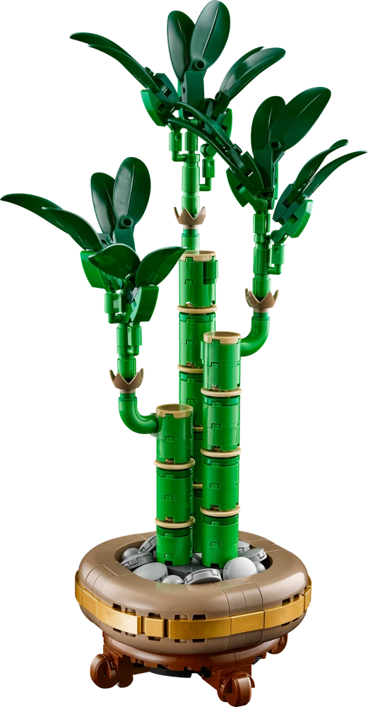 Klocki Botanikos blokeliai 10344 dracaena sandera