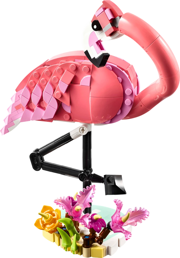 Klocki Kūrėjas 31170 Laukiniai gyvūnai: Rožinis flamingas