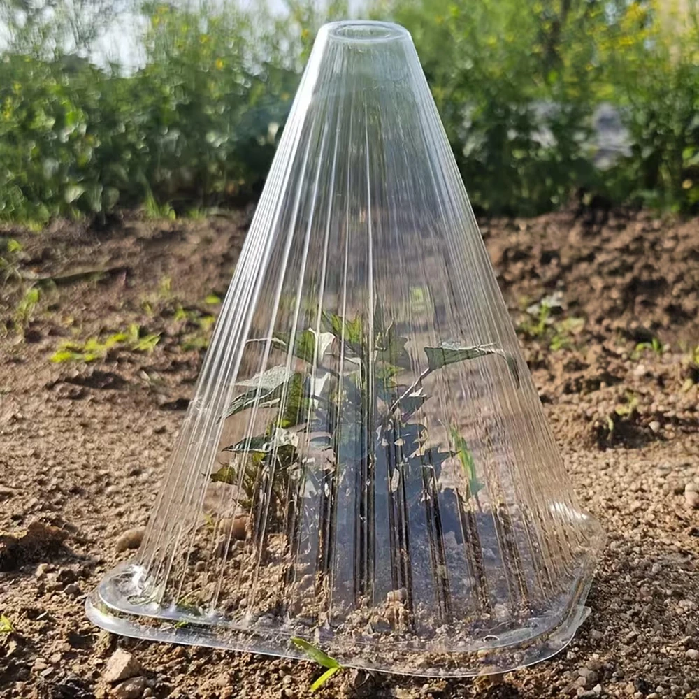 Klosz Šiltnamio apsauginės uždangos 22 cm augalams, sodinukams, 10 vnt.
