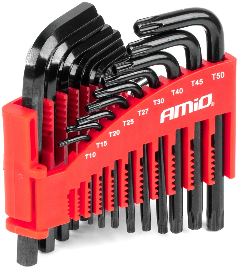 HEX ir TORX imbus raktų rinkinys CRV, juodas, 22 vnt., AMIO-04297