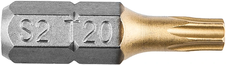 Koncówki Atsuktuvo antgaliai TX20 x 25 mm, 2 vnt.