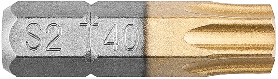 Koncówki Atsuktuvo antgaliai TX40 x 25 mm, 2 vnt.