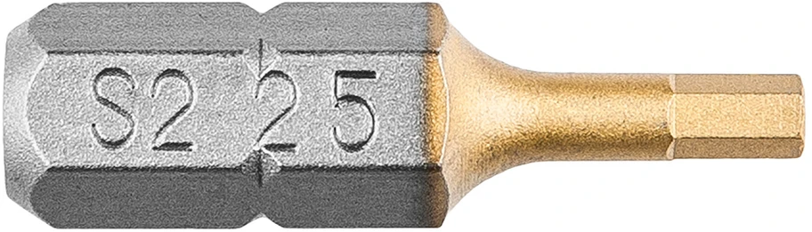 Koncówki HEX2,5 x 25 mm atsuktuvo antgaliai, 2 vnt.
