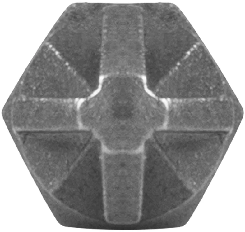 Koncówki PZ2 x 25 mm atsuktuvo antgaliai, 100 vnt.