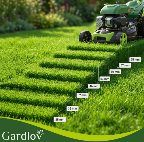 „DriveXPro Gardlov“ benzininė vejapjovė